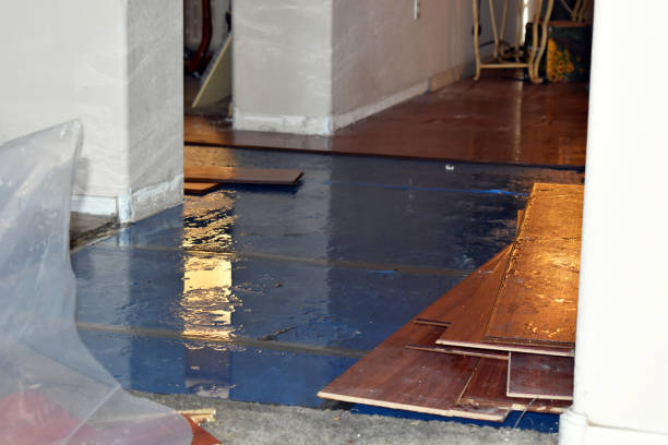 Professional Burst Pipe Cleanup technician working in Harrington, WA