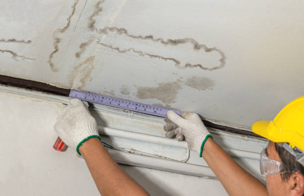 Reliable Burst Pipe Cleanup contractor in Harrington, WA by Water Damage Irwin